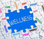 wellness puzzle 1 90x80